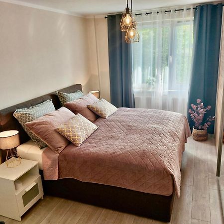 Apartment Am Hochwald Reinhardtsdorf-Schona Екстериор снимка