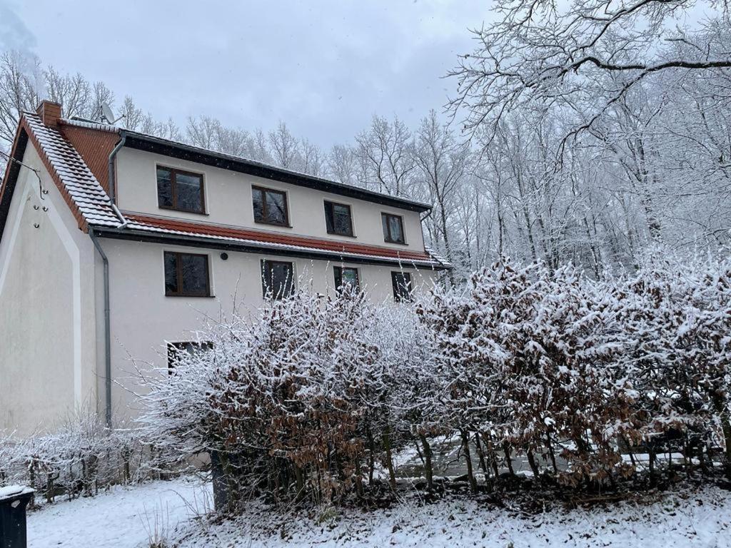 Apartment Am Hochwald Reinhardtsdorf-Schona Екстериор снимка