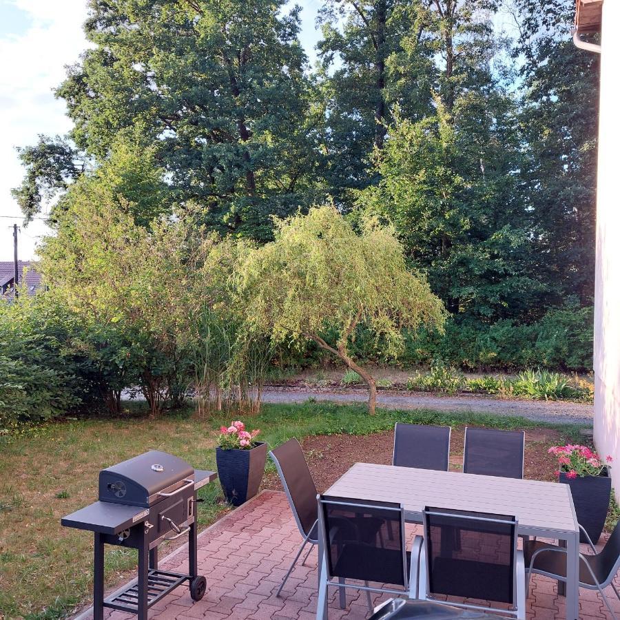 Apartment Am Hochwald Reinhardtsdorf-Schona Екстериор снимка